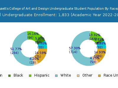 Massachusetts College of Art and Design 2023 Undergraduate Enrollment by Gender and Race chart