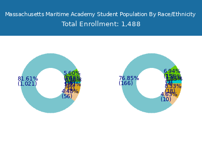 Massachusetts Maritime Academy 2025 Student Population by Gender and Race chart