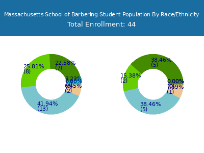 Massachusetts School of Barbering 2025 Student Population by Gender and Race chart
