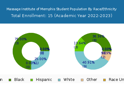 Massage Institute of Memphis 2023 Student Population by Gender and Race chart