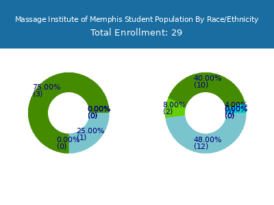Massage Institute of Memphis 2025 Student Population by Gender and Race chart