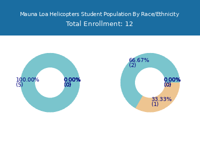 Mauna Loa Helicopters 2025 Student Population by Gender and Race chart
