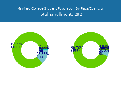 Mayfield College 2025 Student Population by Gender and Race chart