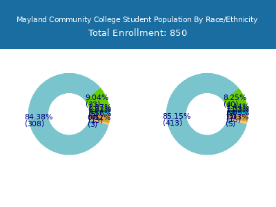 Mayland Community College 2025 Student Population by Gender and Race chart