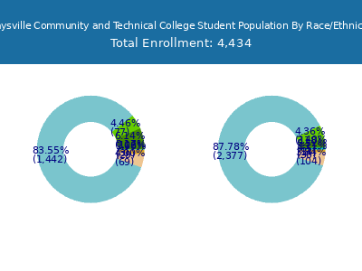 Maysville Community and Technical College 2025 Student Population by Gender and Race chart