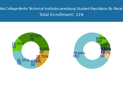 Miller-Motte College-Berks Technical Institute-Lewisburg 2025 Student Population by Gender and Race chart