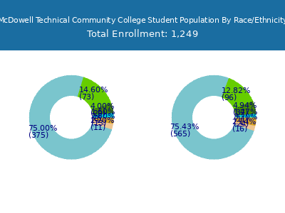 McDowell Technical Community College 2025 Student Population by Gender and Race chart