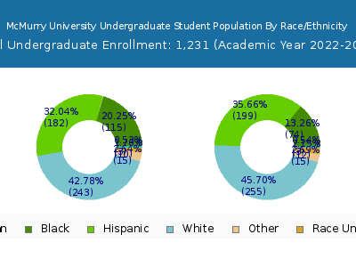 McMurry University 2023 Undergraduate Enrollment by Gender and Race chart