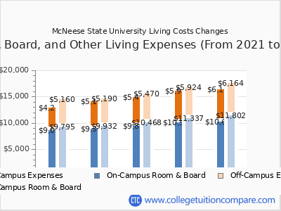 McNeese State University 2025 room & board cost chart
