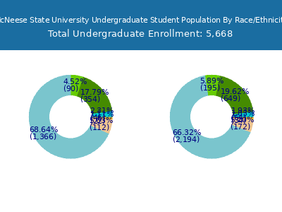 McNeese State University 2025 Undergraduate Enrollment by Gender and Race chart