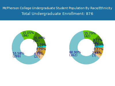 McPherson College 2025 Undergraduate Enrollment by Gender and Race chart
