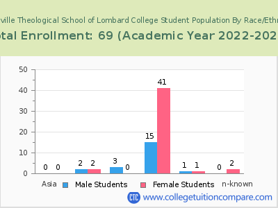 Meadville Theological School of Lombard College 2023 Student Population by Gender and Race chart
