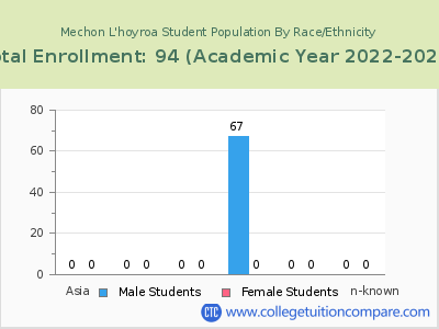 Mechon L'hoyroa 2023 Student Population by Gender and Race chart