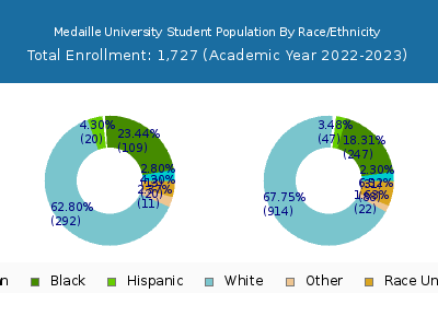 Medaille University 2023 Student Population by Gender and Race chart