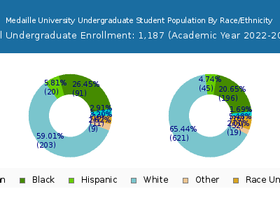 Medaille University 2023 Undergraduate Enrollment by Gender and Race chart