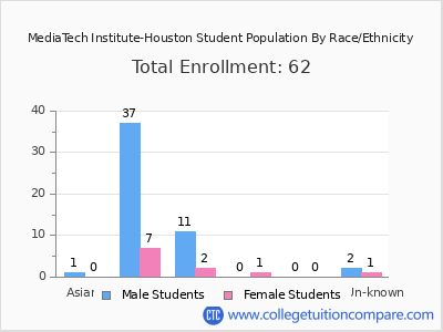 MediaTech Institute-Houston 2025 Student Population by Gender and Race chart