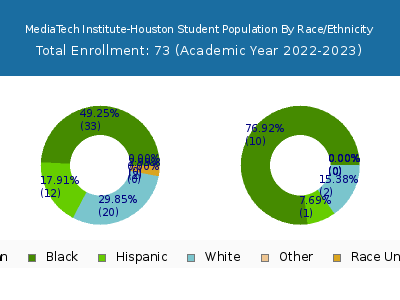 MediaTech Institute-Houston 2023 Student Population by Gender and Race chart