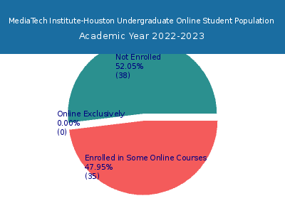 MediaTech Institute-Houston 2023 Online Student Population chart