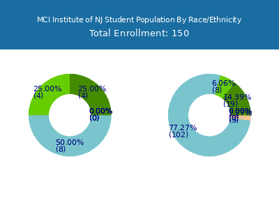 MCI Institute of NJ 2025 Student Population by Gender and Race chart