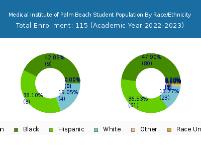 Medical Institute of Palm Beach 2023 Student Population by Gender and Race chart
