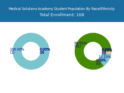 Medical Solutions Academy 2025 Student Population by Gender and Race chart