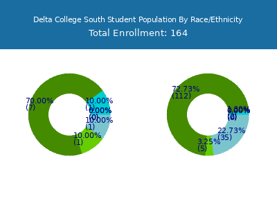 Delta College South 2025 Student Population by Gender and Race chart