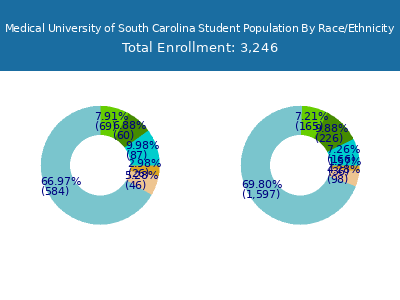 Medical University of South Carolina 2025 Student Population by Gender and Race chart