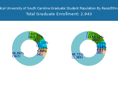Medical University of South Carolina 2025 Graduate Enrollment by Gender and Race chart