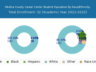 Medina County Career Center 2023 Student Population by Gender and Race chart