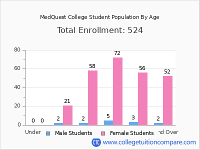 MedQuest College 2024 Student Population by Age chart