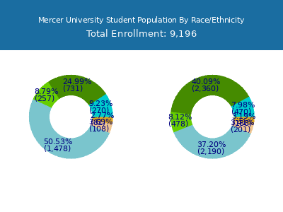 Mercer University 2025 Student Population by Gender and Race chart