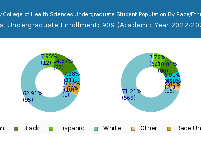 Mercy College of Health Sciences 2023 Undergraduate Enrollment by Gender and Race chart