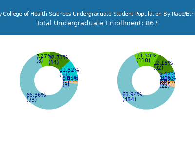 Mercy College of Health Sciences 2025 Undergraduate Enrollment by Gender and Race chart