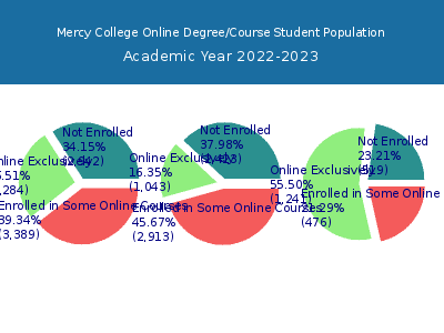 Mercy College 2023 Online Student Population chart