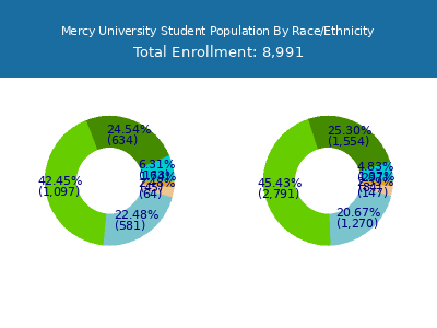 Mercy University 2025 Student Population by Gender and Race chart
