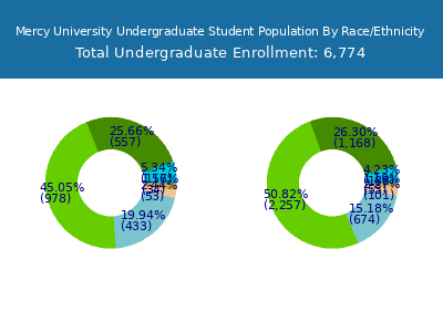 Mercy University 2025 Undergraduate Enrollment by Gender and Race chart