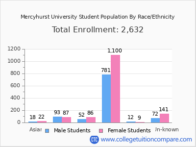 Mercyhurst University 2025 Student Population by Gender and Race chart