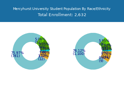 Mercyhurst University 2025 Student Population by Gender and Race chart
