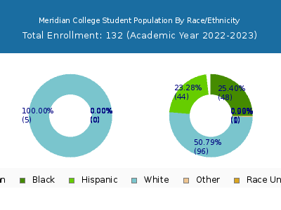 Meridian College 2023 Student Population by Gender and Race chart