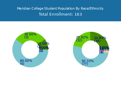 Meridian College 2025 Student Population by Gender and Race chart