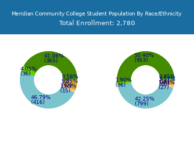 Meridian Community College 2025 Student Population by Gender and Race chart