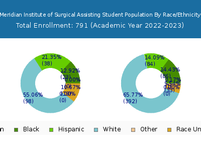 Meridian Institute of Surgical Assisting 2023 Student Population by Gender and Race chart