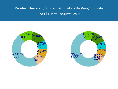 Meridian University 2025 Student Population by Gender and Race chart