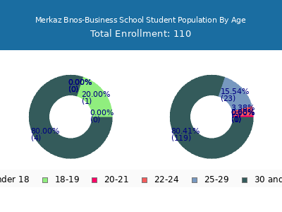 Merkaz Bnos-Business School 2024 Student Population Age Diversity Pie chart