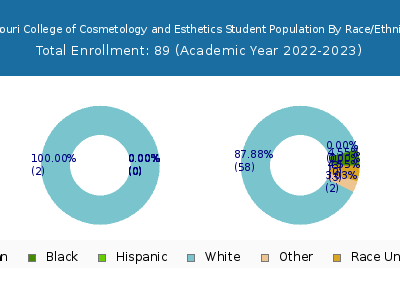 Missouri College of Cosmetology and Esthetics 2023 Student Population by Gender and Race chart