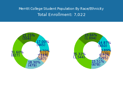 Merritt College 2025 Student Population by Gender and Race chart