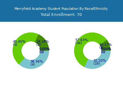 Merryfield Academy 2025 Student Population by Gender and Race chart
