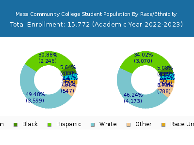 Mesa Community College 2023 Student Population by Gender and Race chart