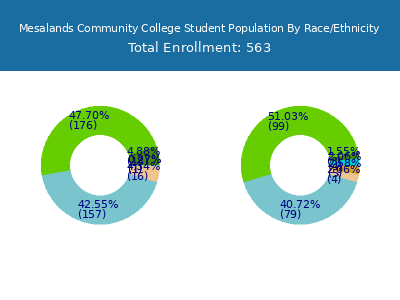 Mesalands Community College 2025 Student Population by Gender and Race chart
