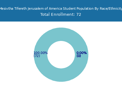 Mesivtha Tifereth Jerusalem of America 2025 Student Population by Gender and Race chart